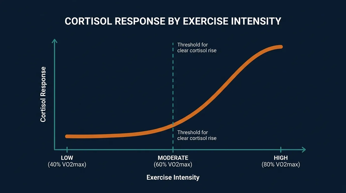Conceptual chart illustration showing how cortisol response rises with exercise intensity, with a small change at low intensity, a moderate rise around the 60 percent VO2max threshold, and a steep spike during high-intensity work