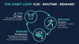 The Science of Habit Loops in Fitness