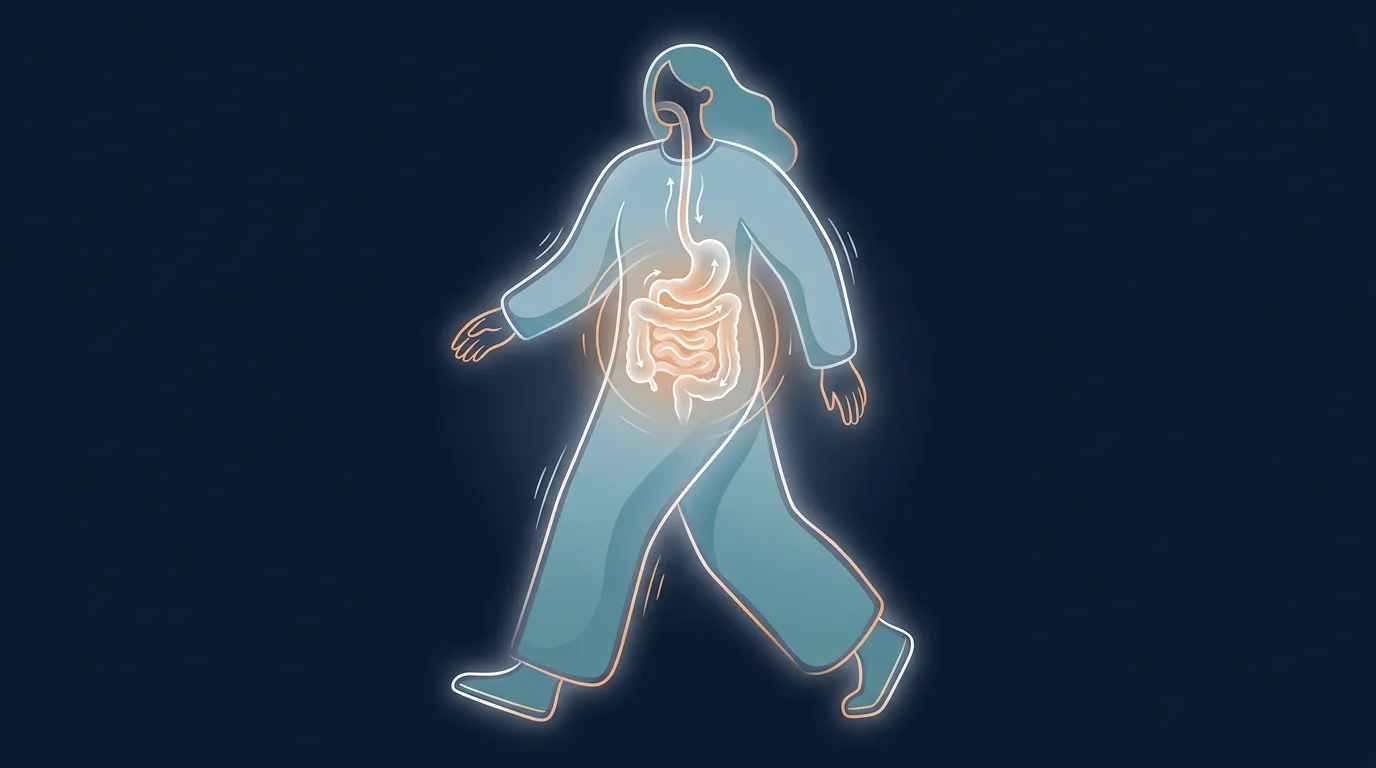 Illustration éditoriale montrant une silhouette marchant calmement à côté d'un tube digestif stylisé avec des flèches indiquant une motilité douce et une réduction des ballonnements après une courte marche postprandiale