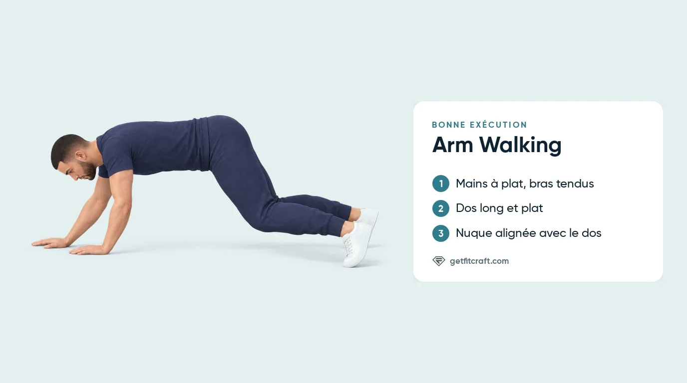 Arm walking en bonne exécution à la portée maximale : mains à plat, bras tendus, dos long et plat, pieds en place