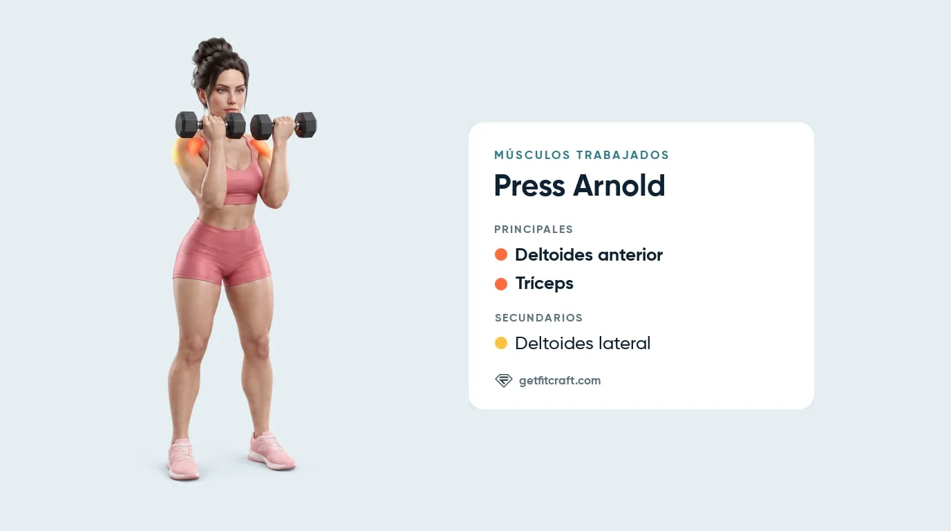 Press Arnold con mancuernas, músculos trabajados: deltoides anterior y tríceps, mancuernas a la altura de la barbilla