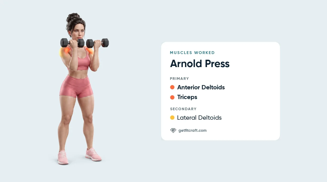 Arnold press muscles worked: front delts and triceps, dumbbells in front of the shoulders at chin height, palms facing her