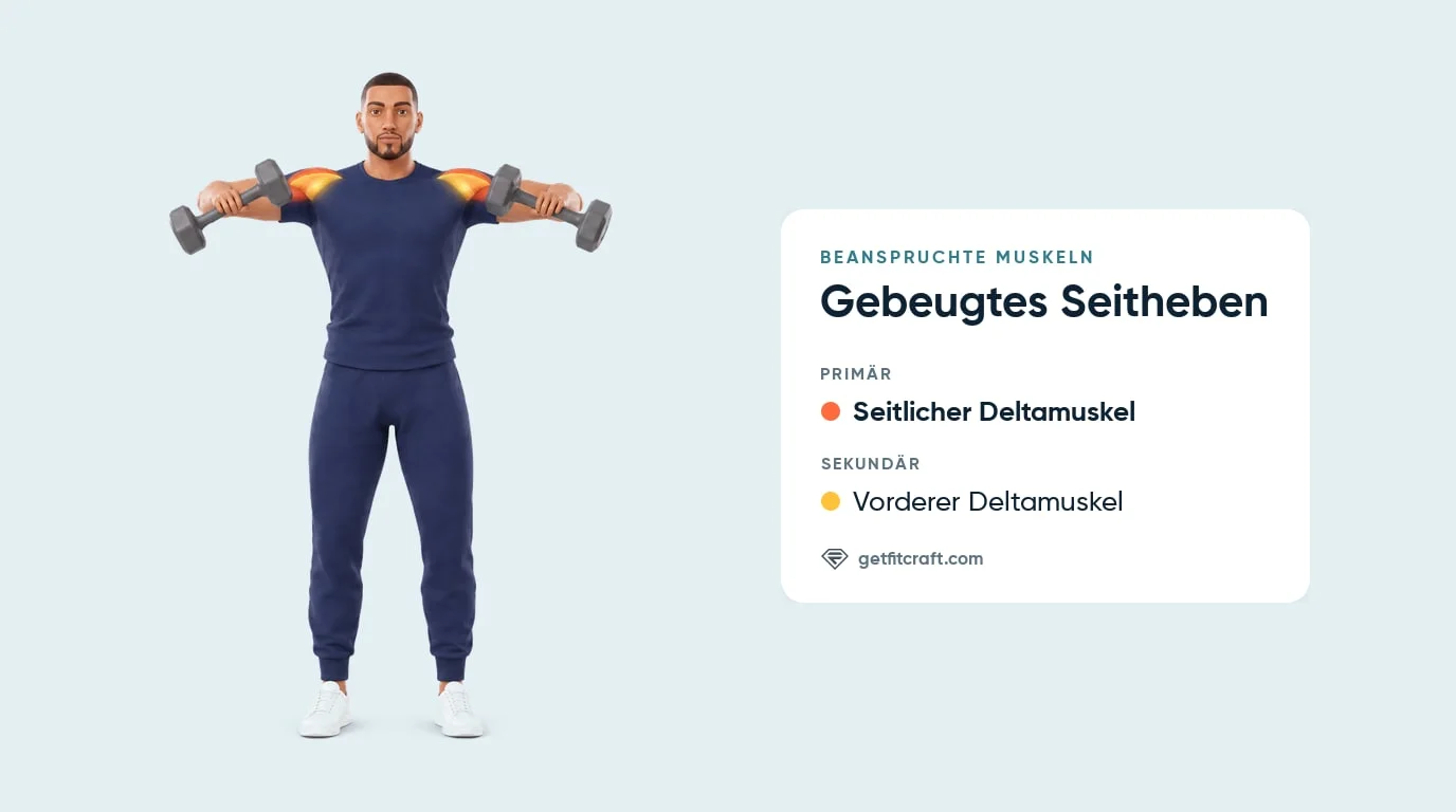 Gebeugtes Seitheben mit Kurzhanteln, Muskeln: seitlicher Deltamuskel primär, vorderer sekundär, Ellbogen auf Schulterhöhe