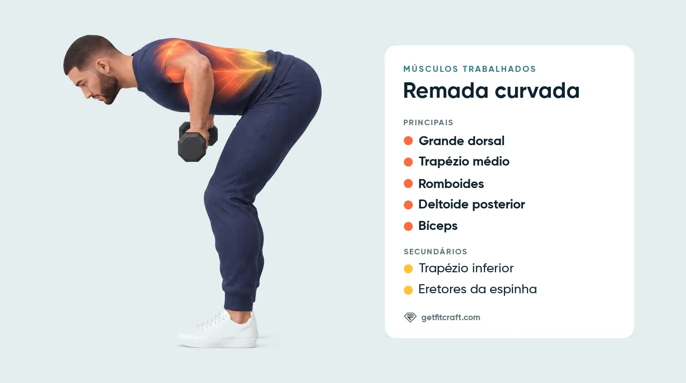 Remada curvada: grande dorsal, trapézio médio, romboides, deltoide posterior, bíceps; trapézio inferior, eretores da espinha