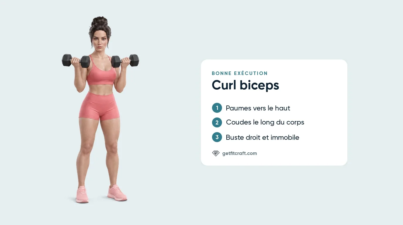 Curl biceps aux haltères, bonne exécution de face : paumes vers le haut, coudes le long du corps, buste droit