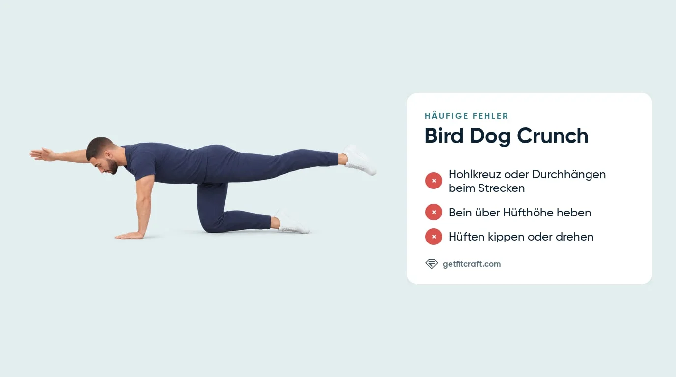 Bird Dog Crunch, häufige Fehler neben der richtigen Streckung: Rücken flach, Hüften waagerecht, Bein höchstens auf Hüfthöhe
