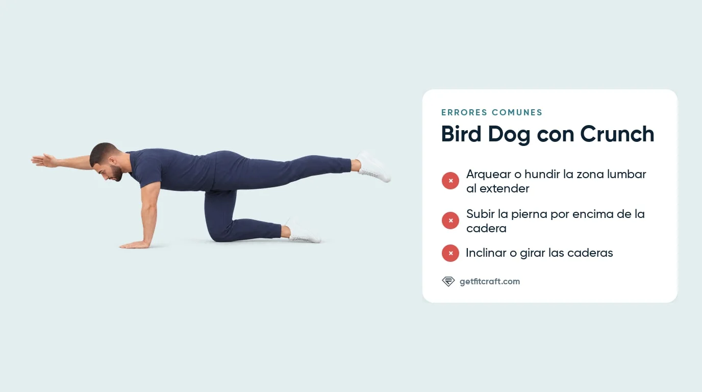 Bird dog con crunch, errores comunes junto a la extensión correcta: espalda plana, caderas niveladas, pierna a la cadera