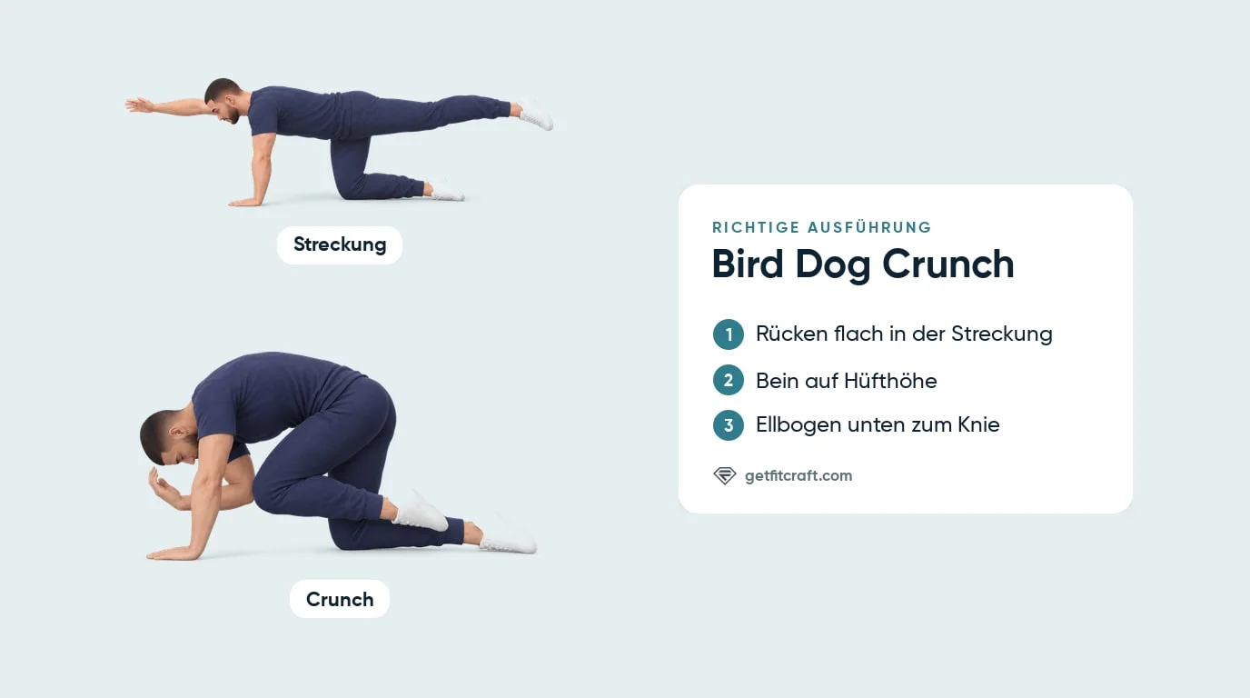 Bird Dog Crunch, richtige Technik in zwei Phasen: Streckung mit flachem Rücken und Bein auf Hüfthöhe, dann Ellbogen zum Knie