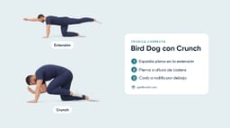Bird Dog con Crunch