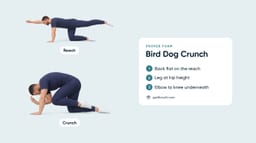 Bird Dogs Crunch