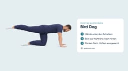 Bird Dog