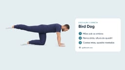 Bird Dog