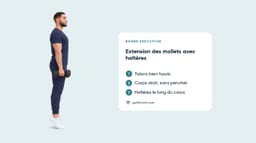 Extensions des Mollets
