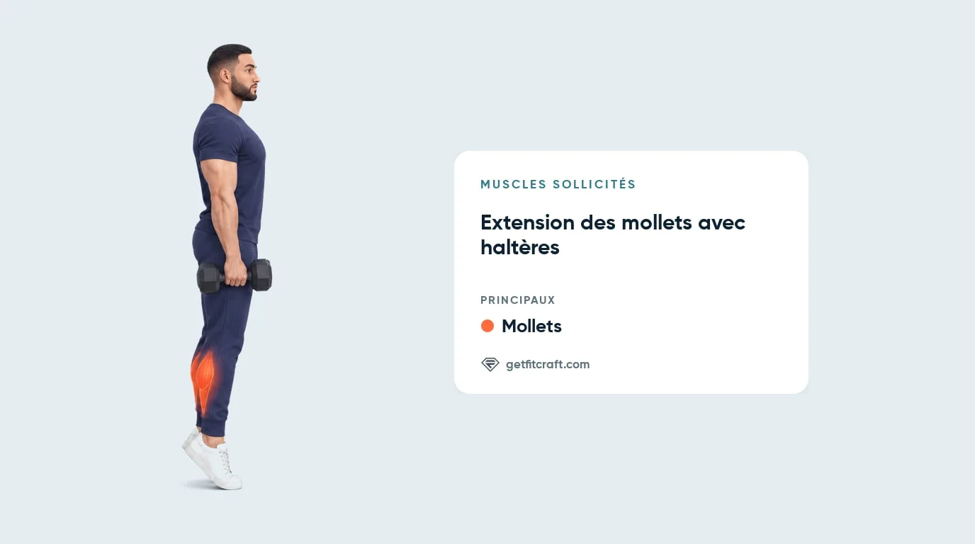 Extension des mollets, muscles travaillés : gastrocnémien et soléaire en évidence, homme sur la pointe des pieds