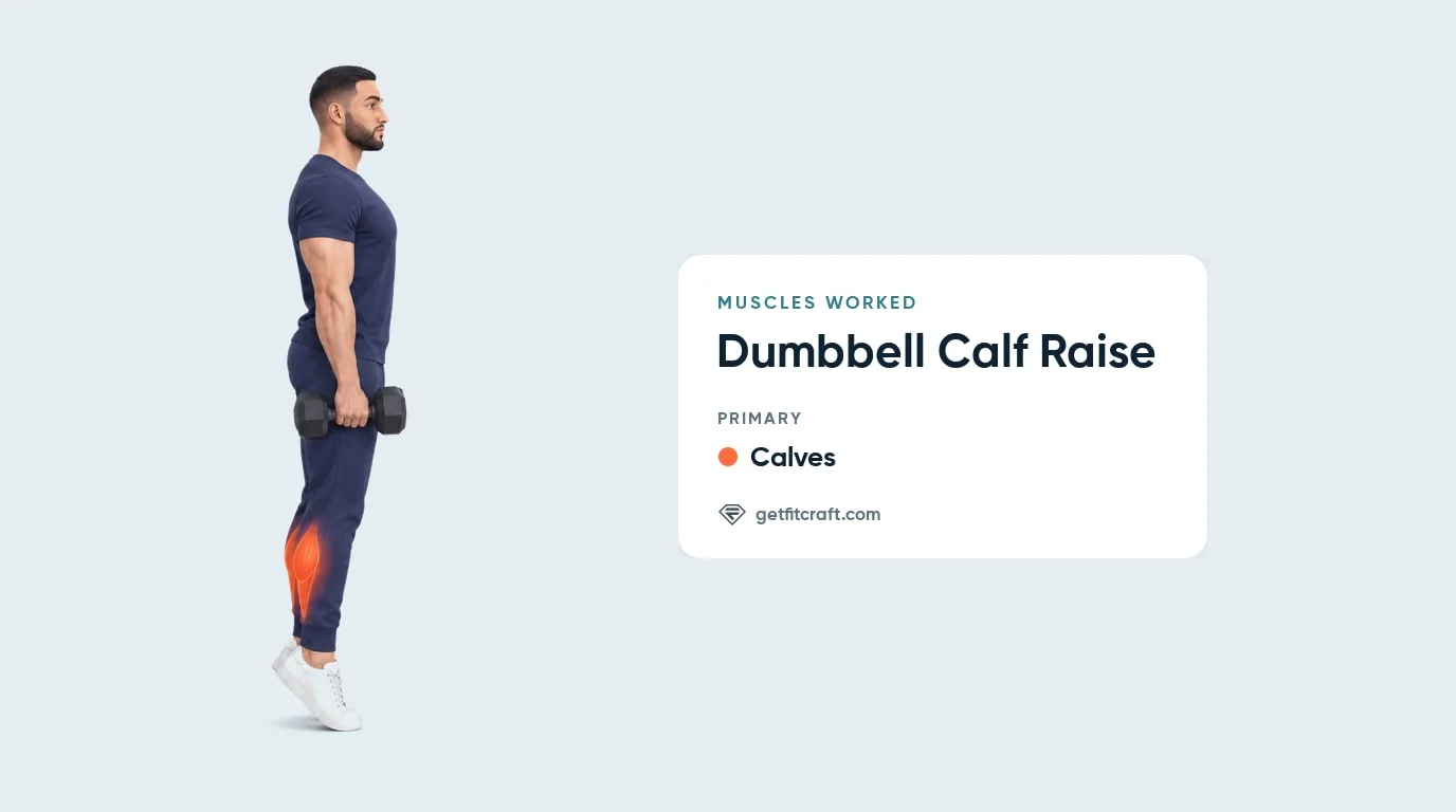 Calf raises muscles worked: both calf muscles, gastrocnemius and soleus, highlighted on a man on his toes holding dumbbells