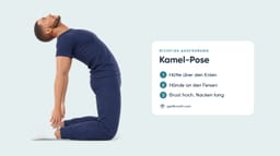 Kamel-Pose