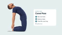 Camel