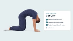 Cat Cow