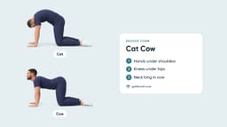 Cat Cow