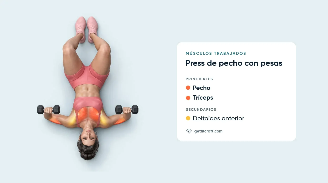 Press de pecho con mancuernas, músculos trabajados: pecho y tríceps resaltados, deltoides anteriores ayudando, en el suelo