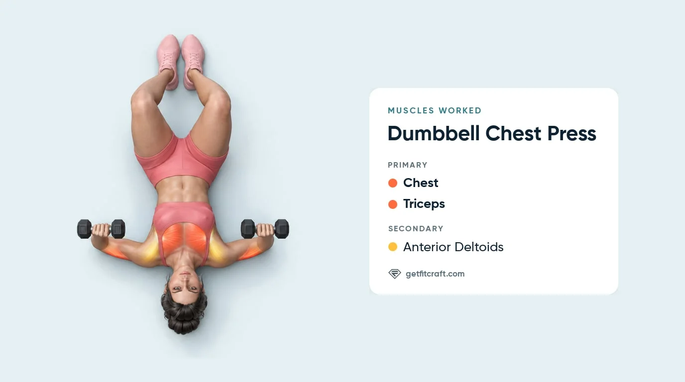 Dumbbell chest press muscles worked: chest and triceps highlighted, front delts helping, lying on the floor, knees bent