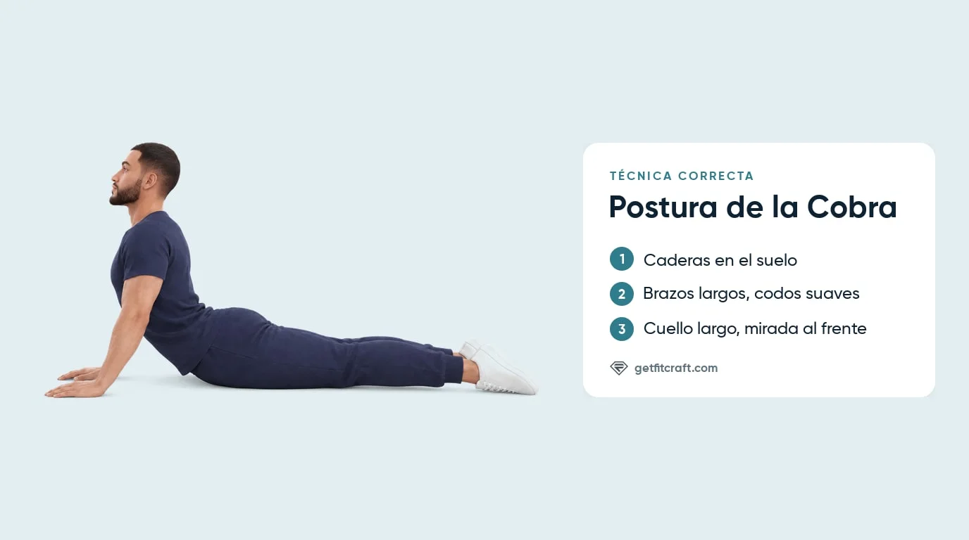 Postura de la cobra con forma correcta, de lado: caderas en el suelo, brazos casi estirados, codos flexionados, cuello largo