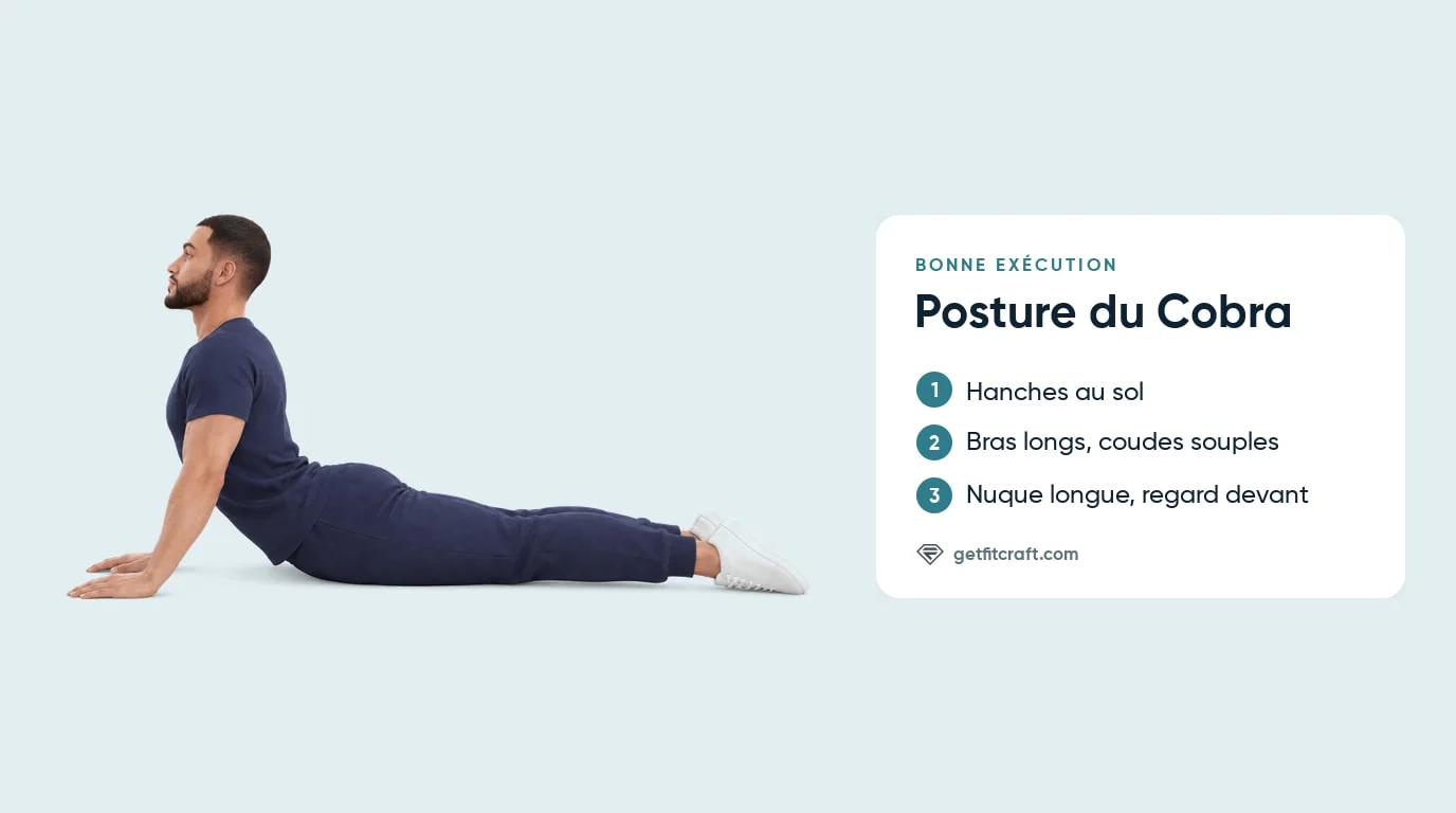 Posture du cobra, bonne forme de profil : hanches au sol, bras presque tendus, coudes fléchis, nuque longue