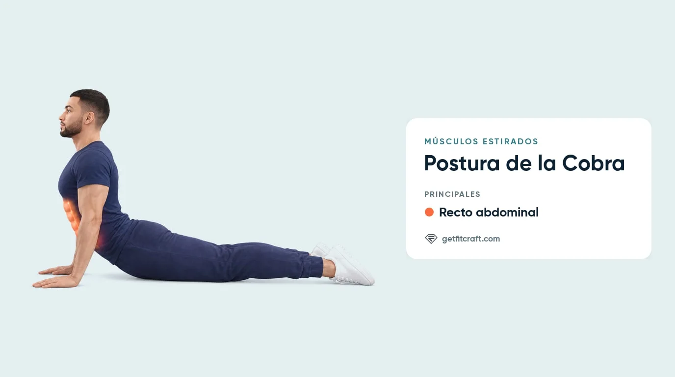 Postura de la cobra, músculos estirados: abdominales resaltados en un hombre boca abajo con caderas y muslos en el suelo
