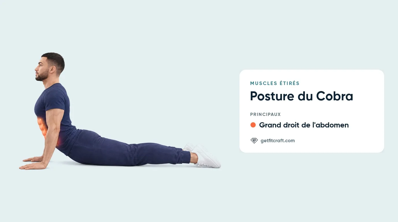 Posture du cobra, muscles étirés : abdominaux en évidence sur un homme poussé vers le haut à plat ventre, hanches au sol