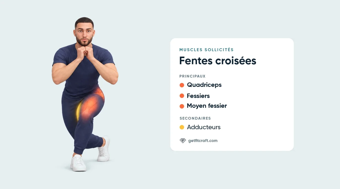 Fente croisée, vue de face : quadriceps, fessiers et moyen fessier comme muscles principaux, adducteurs en renfort
