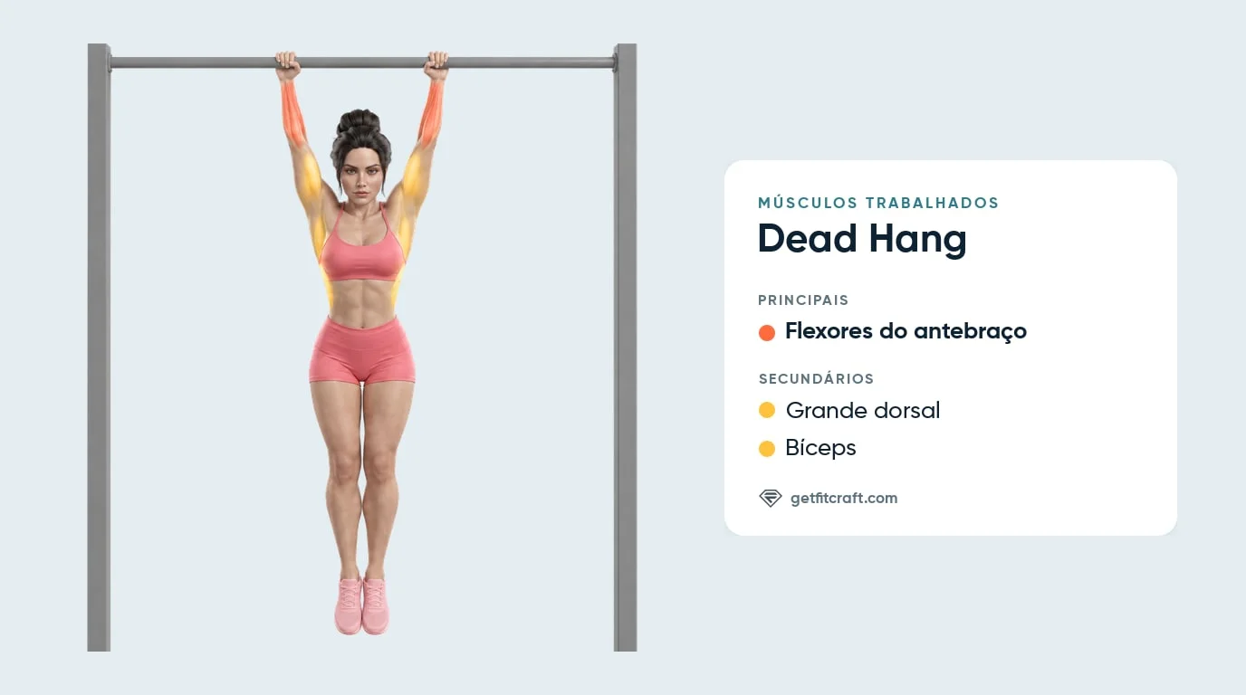 Dead hang, músculos trabalhados: flexores do antebraço em destaque, com grande dorsal e bíceps ajudando, pendurado na barra