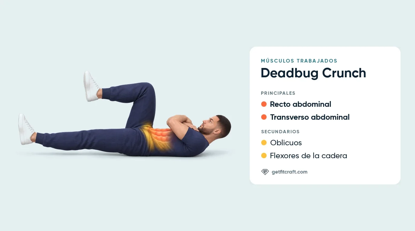 Músculos del deadbug crunch: recto abdominal y transverso abdominal, con oblicuos y flexores de la cadera, brazos cruzados