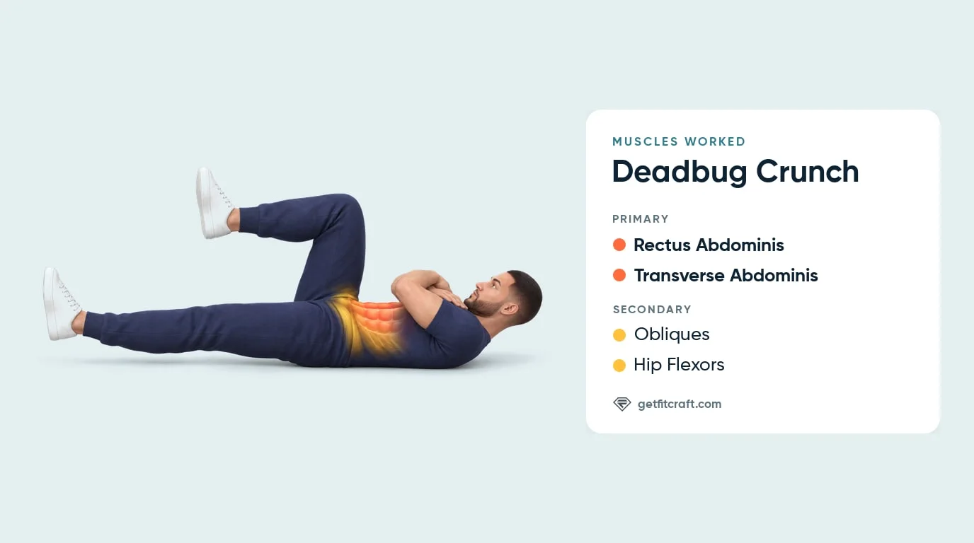 Dead bug crunch muscles worked: rectus abdominis and transverse abdominis, plus obliques and hip flexors, arms crossed