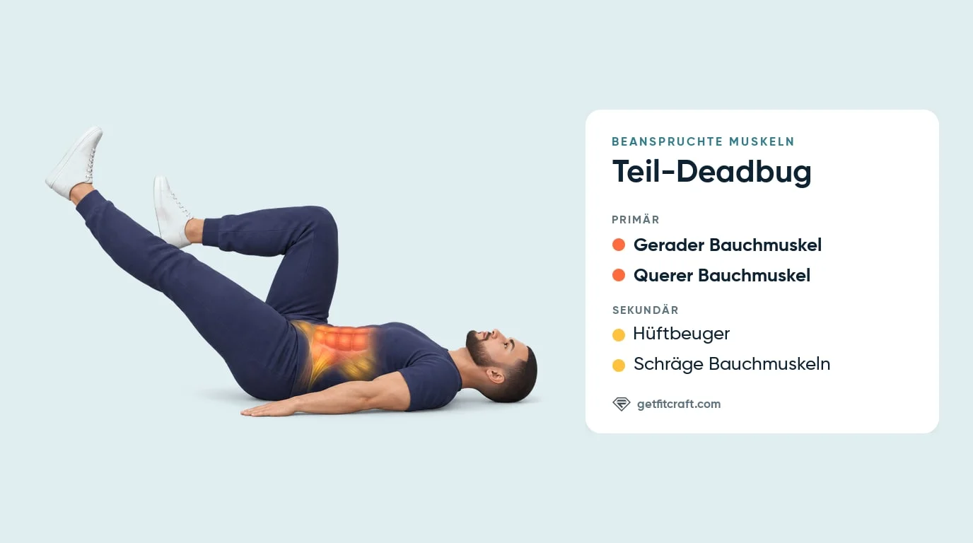 Teil-Deadbug, beanspruchte Muskeln: gerader und querer Bauchmuskel, dazu Hüftbeuger und schräge Bauchmuskeln
