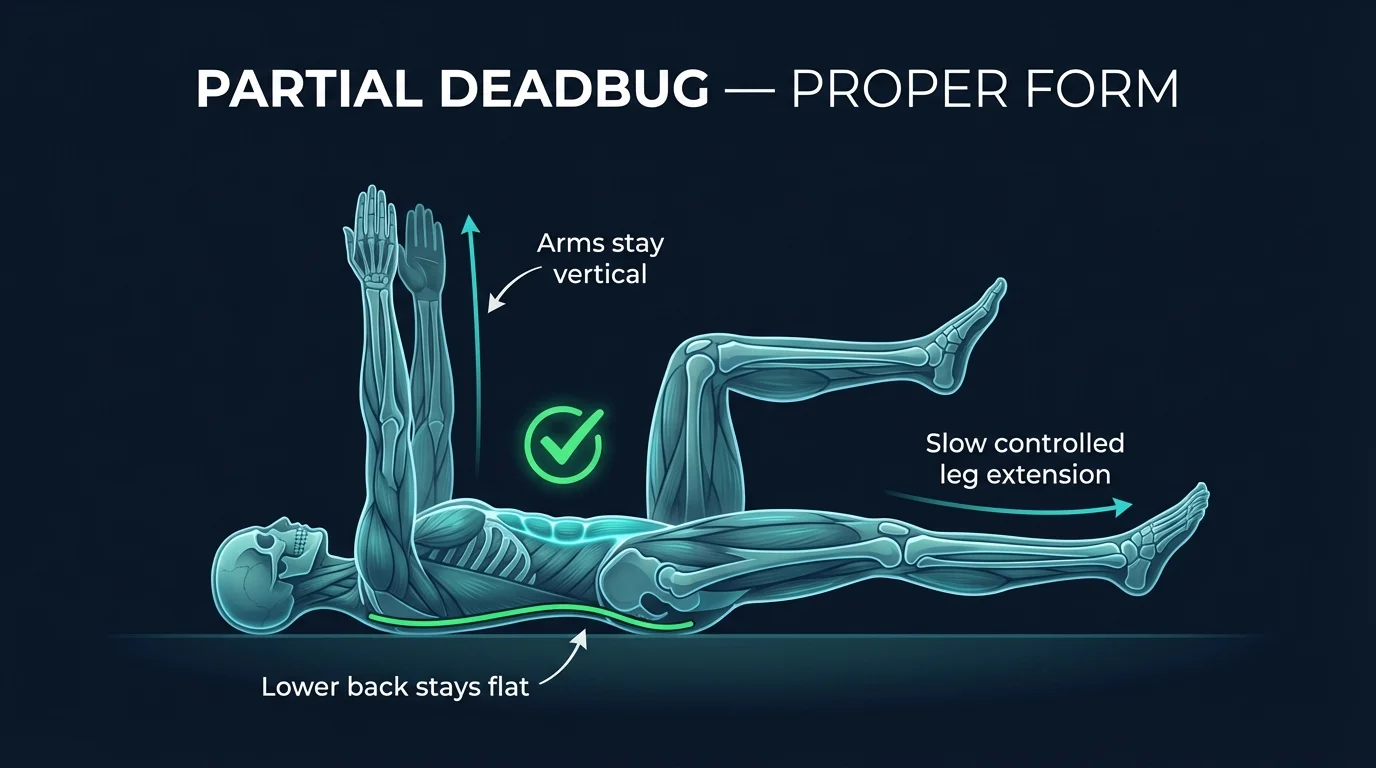 Partial deadbug proper form showing supine position with arms extended and one leg lowering while maintaining lower back contact with floor