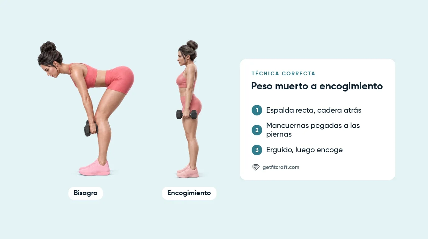 Forma correcta del peso muerto a encogimiento en dos fases: bisagra con espalda recta y mancuernas, luego erguido y encoger