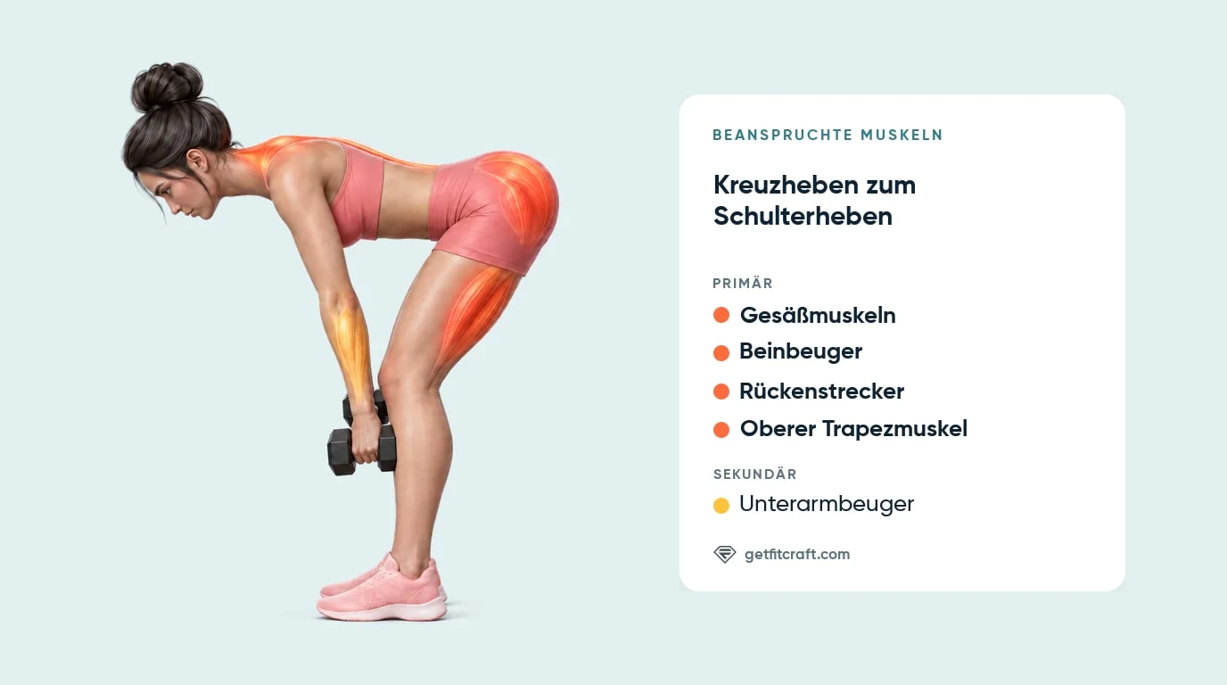 Kreuzheben zum Schulterheben, Muskeln: Gesäß, Beinbeuger, Rückenstrecker, oberer Trapezmuskel, Unterarmbeuger