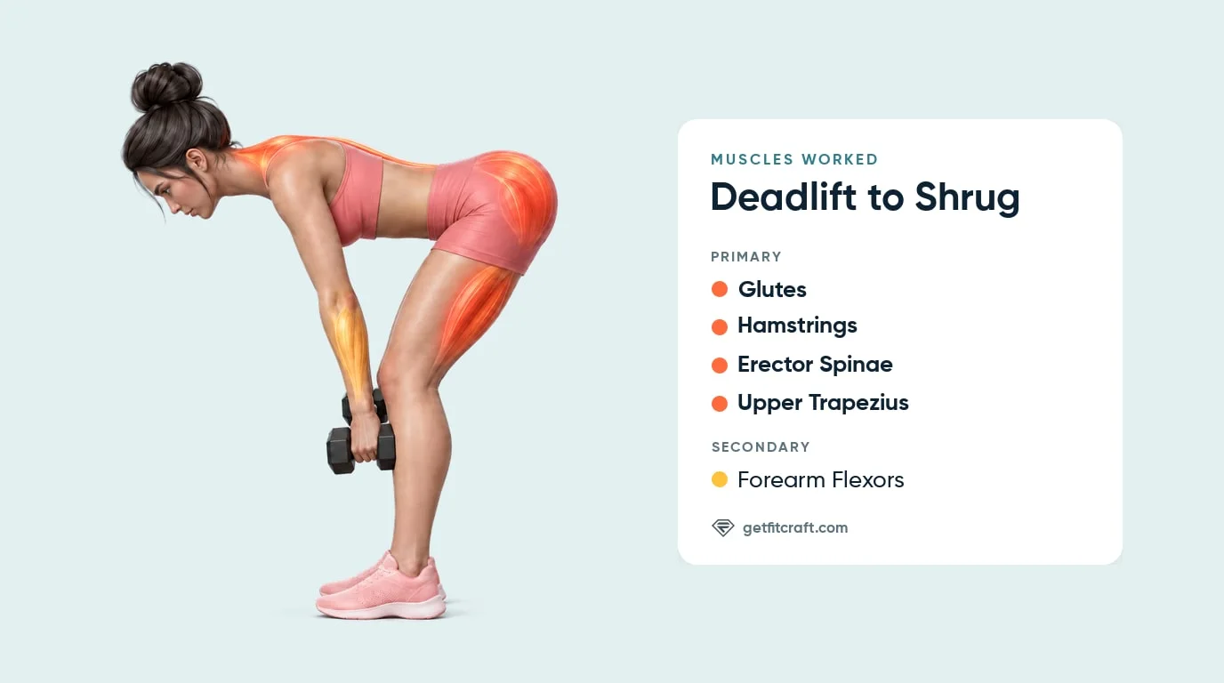 Deadlift to shrug muscles worked, hinged at the bottom: glutes, hamstrings, erector spinae, upper traps, forearm flexors