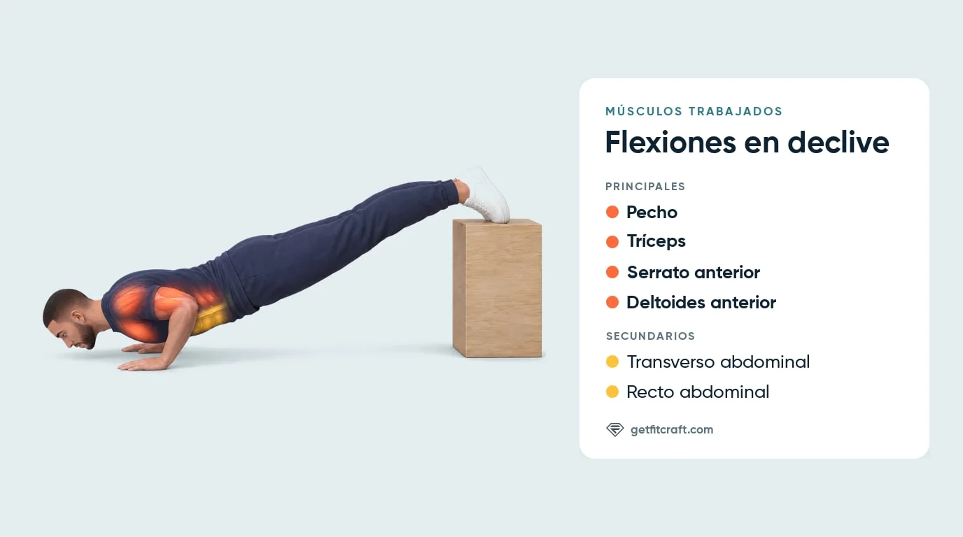 Flexiones en declive, músculos: pecho, tríceps, serrato anterior, deltoides anterior, transverso y recto abdominal