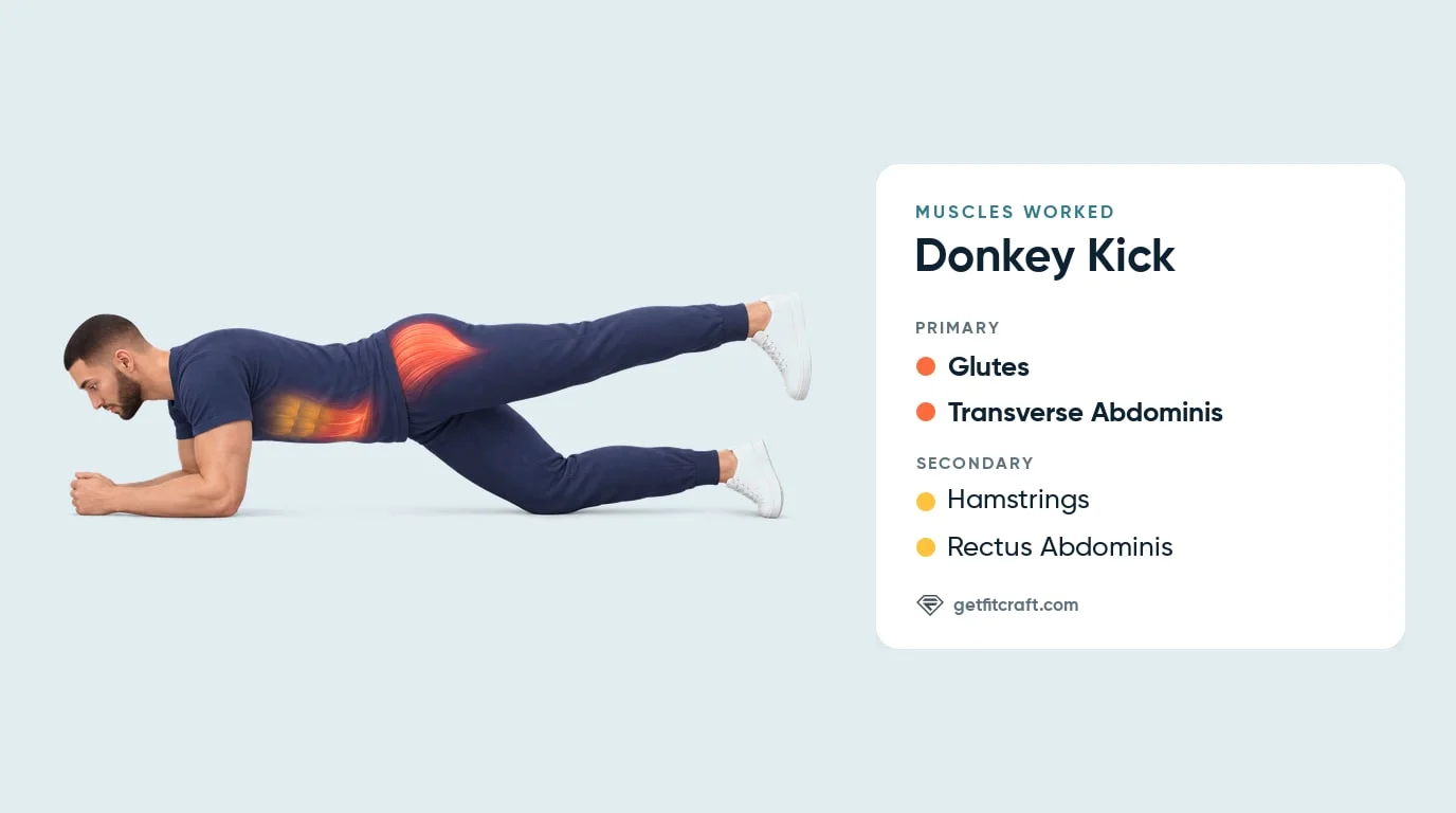 Donkey kicks muscles worked: glutes and transverse abdominis, with hamstrings and rectus abdominis helping, forearms down