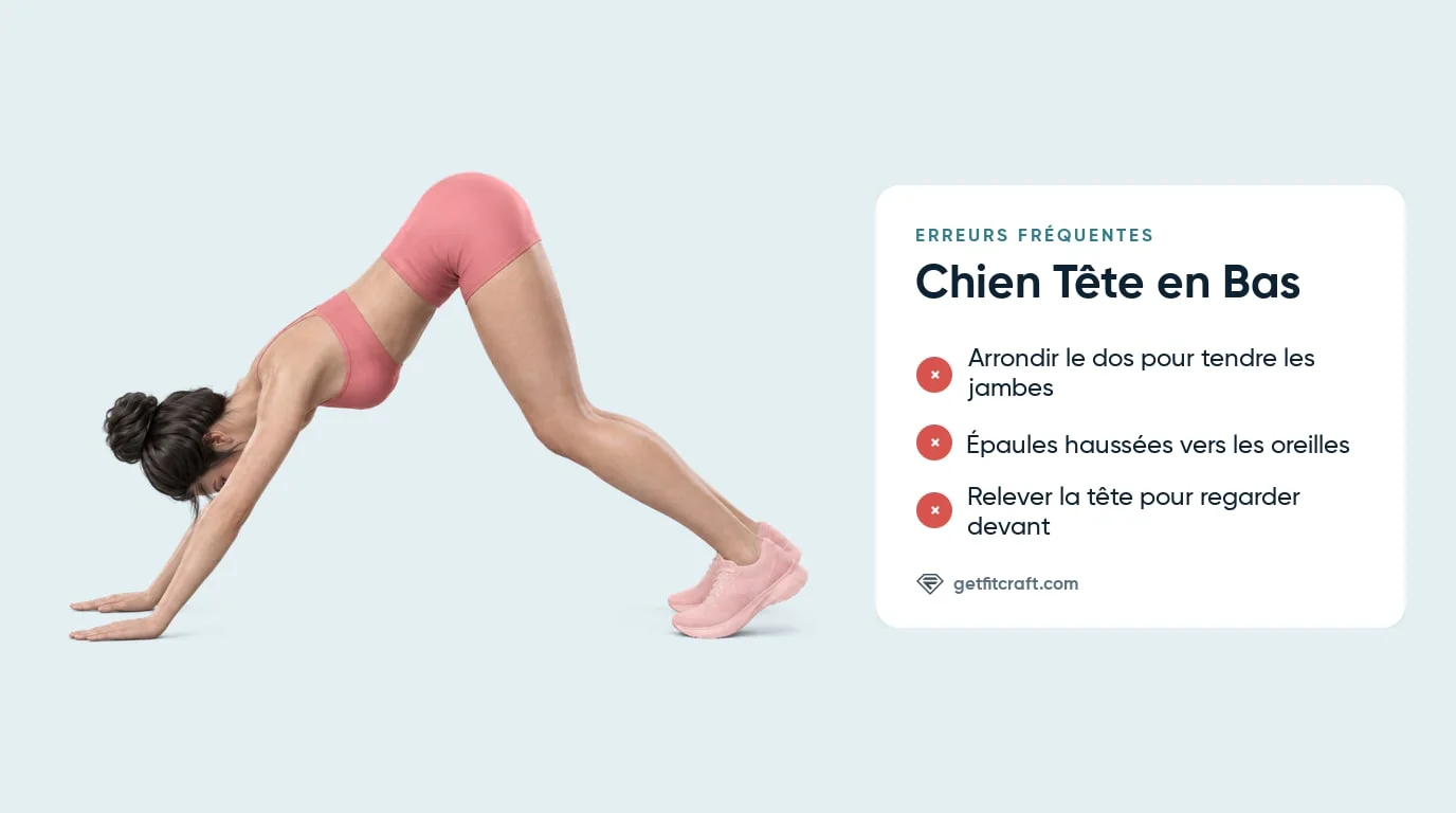 Chien tête en bas, erreurs courantes à côté de la bonne posture : dos plat, hanches hautes, bras tendus, genoux fléchis