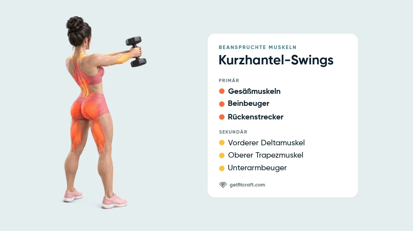 Kurzhantel-Swing Muskeln von hinten: Gesäß, Beinbeuger, unterer Rücken; vordere Schultern, Trapez, Unterarme helfen