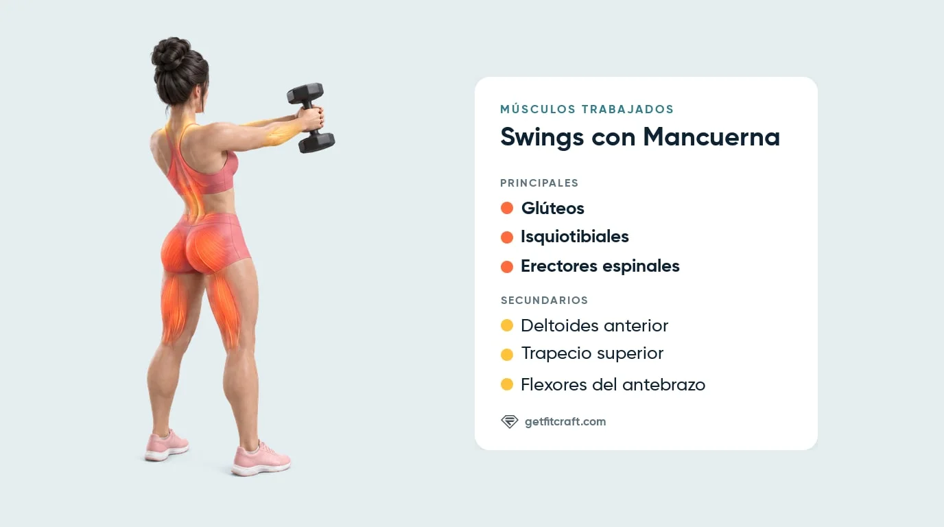 Músculos del swing con mancuerna: glúteos, isquiotibiales y lumbares resaltados; deltoides anteriores, trapecios y antebrazos ayudan