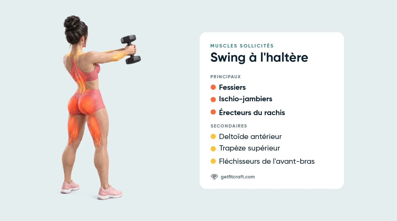 Swing à l'haltère, vue de dos : fessiers, ischio-jambiers, bas du dos ; deltoïdes antérieurs, trapèzes, avant-bras en appui