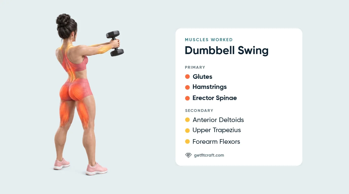 Dumbbell swing muscles worked from behind: glutes, hamstrings, lower back highlighted; front delts, traps, forearms helping