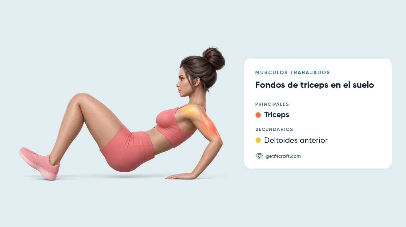 Músculos trabajados en los fondos de tríceps en el suelo: tríceps y deltoides anterior resaltados, manos tras las caderas