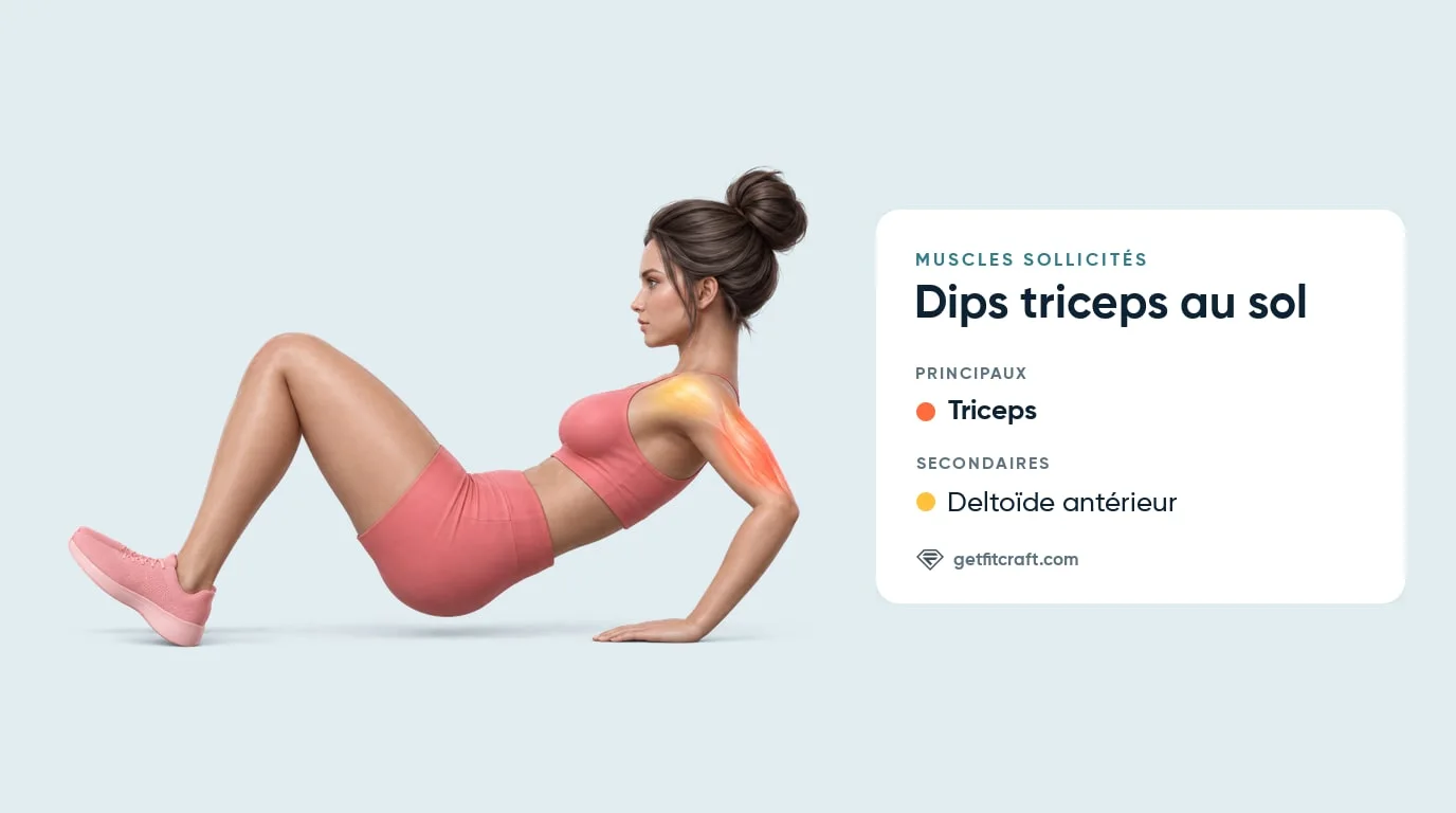 Muscles sollicités par le dip triceps au sol : triceps et deltoïde antérieur en évidence, mains derrière les hanches