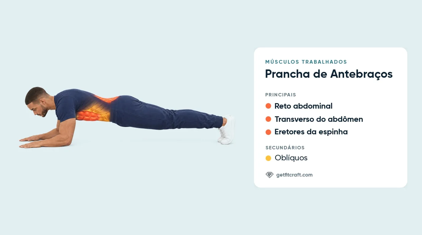 Prancha de antebraços, músculos trabalhados: abdômen, core profundo e eretores da espinha em destaque, oblíquos ajudando