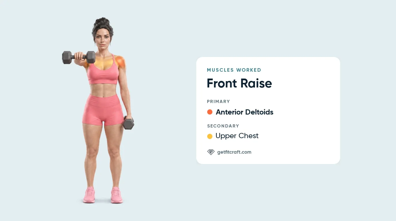 Front raises muscles worked: front delts highlighted, upper chest helping, one dumbbell at shoulder height