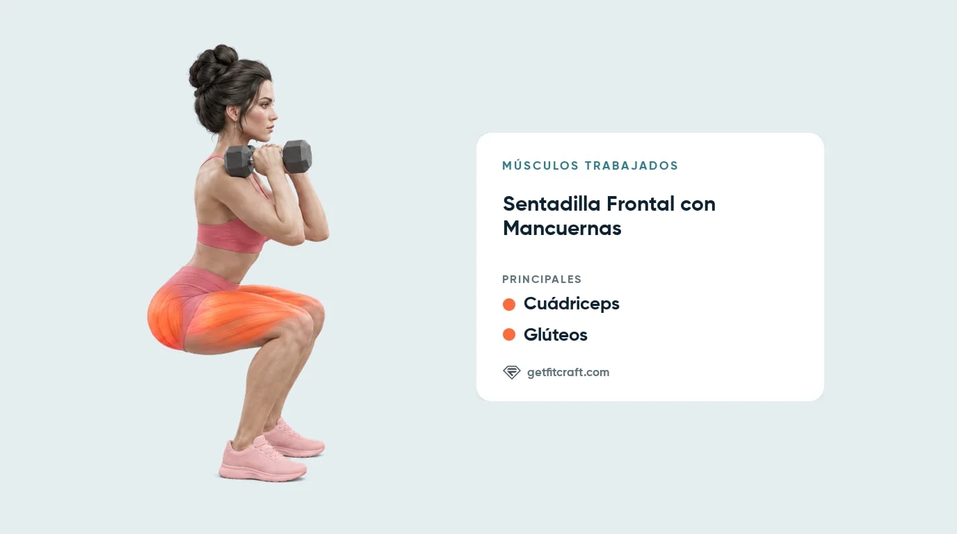 Músculos de la sentadilla frontal con mancuernas: cuádriceps y glúteos resaltados abajo, mancuernas en los hombros